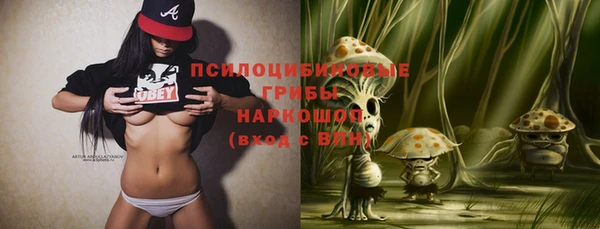 мдпв Ростов