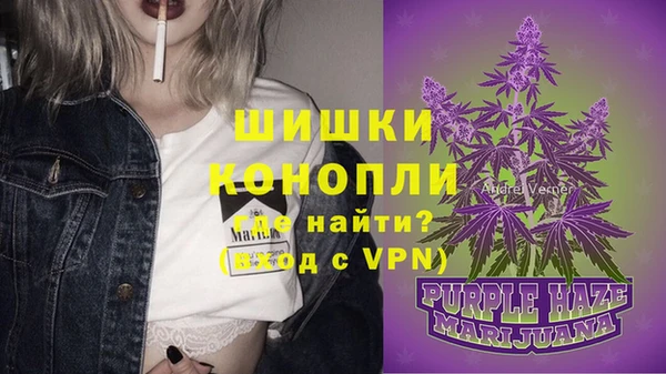 стаф Россошь