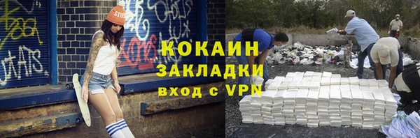 стаф Россошь