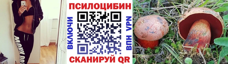 Купить  Краснообск  Псилоцибиновые грибы Psilocybine cubensis 